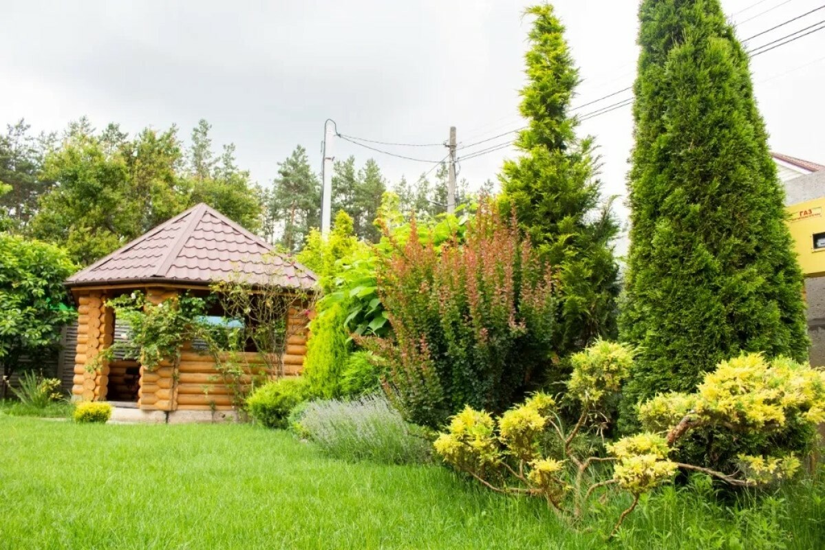 https://tobolsk.tgv-stroy.ru/storage/app/uploads/public/637/ef4/fb3/637ef4fb3605f391429275.png